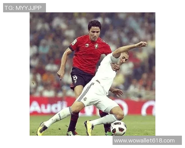 荷南队足球明星的辉煌历程与未来展望分析 荷南队足球明星的辉煌历程与未来展望分析